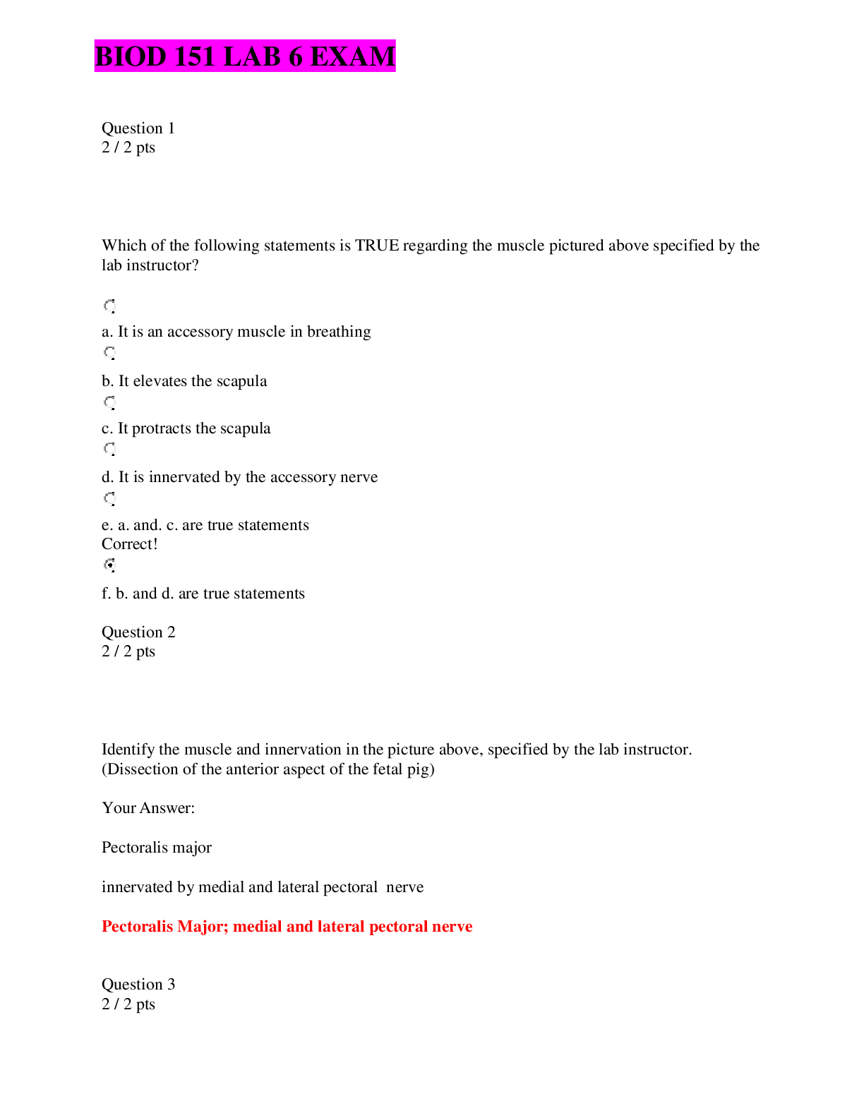 Preview image for BIOD 151 (A & P 1) LAB 6 EXAM QUESTIONS AND ANSWERS RATED A+ (Portage Learning)